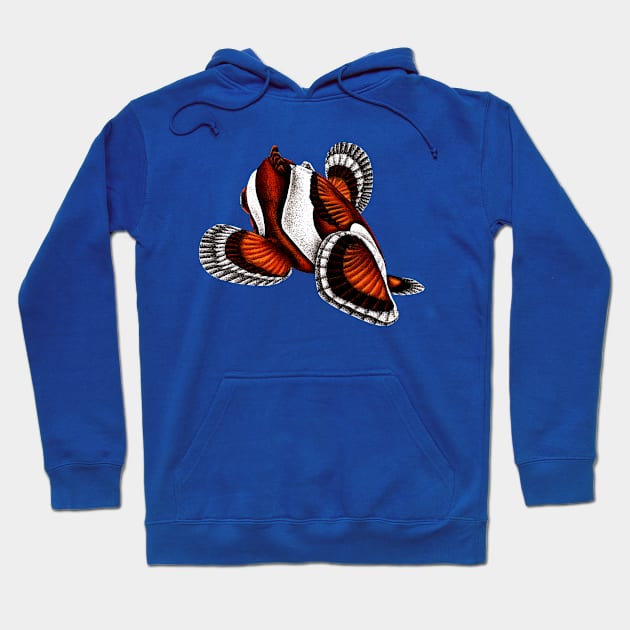 Orange ocellaris clownfish from behind Hoodie by lorendowding